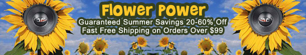Online Car Stereo Social Media PPC Ad Banner
